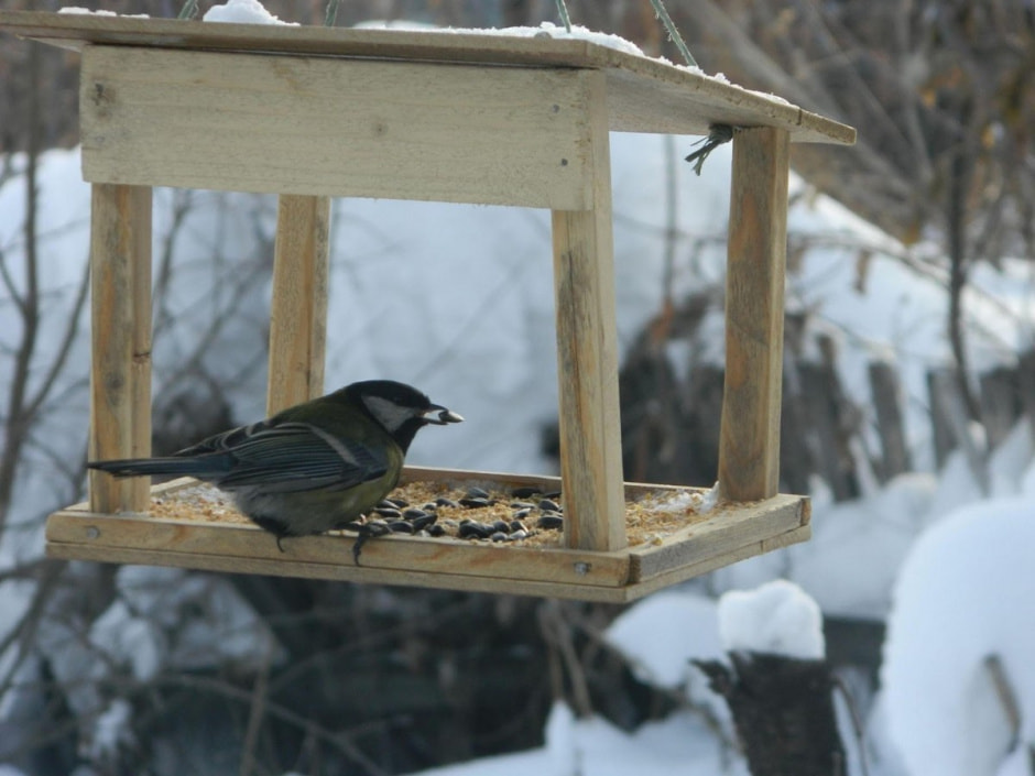 Готовим дачный участок к зиме 13.jpg