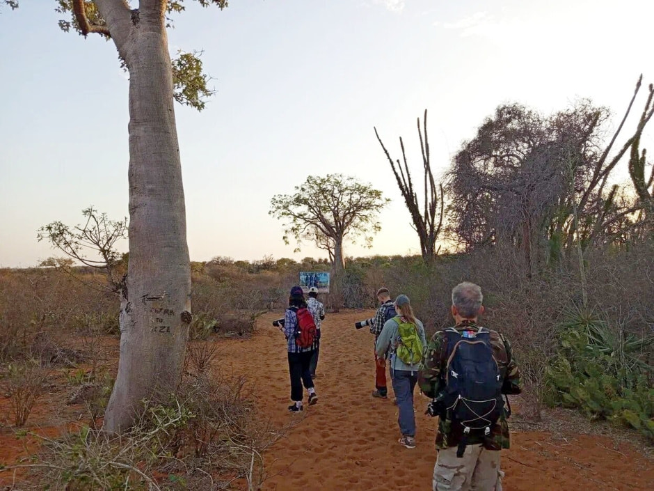 Мадагаскар 7.jpg