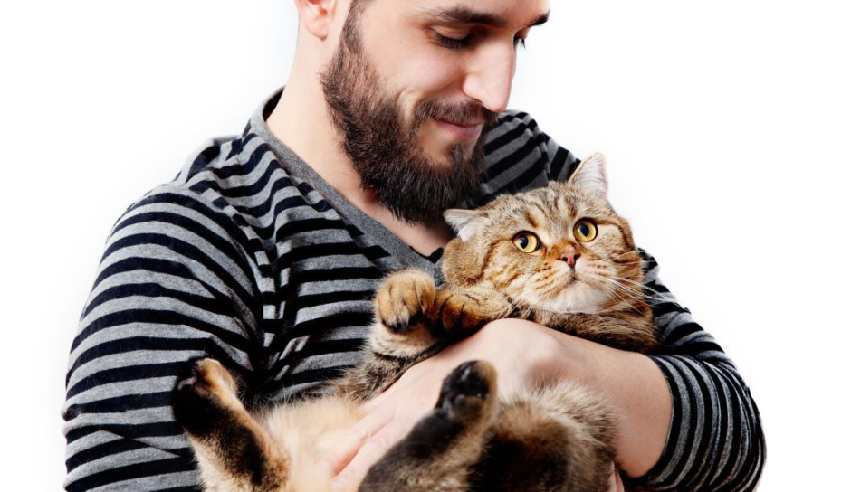 мужчина с котом.png мужчина с котом.png