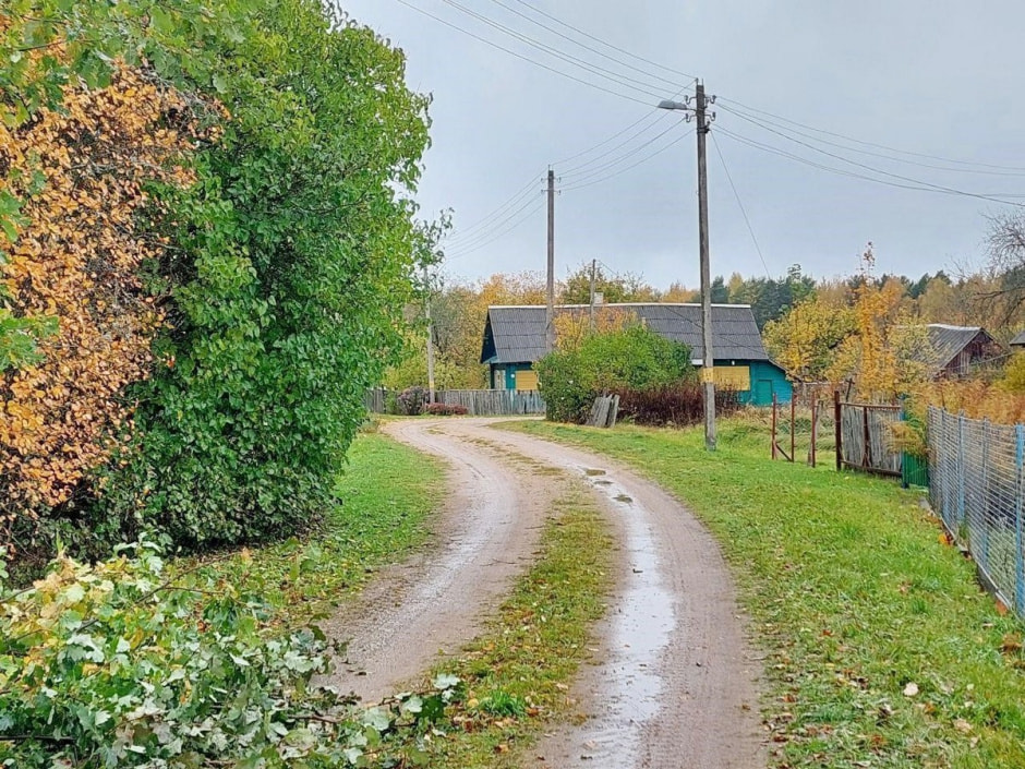 Бабушка Геня из Залесья 2.jpg