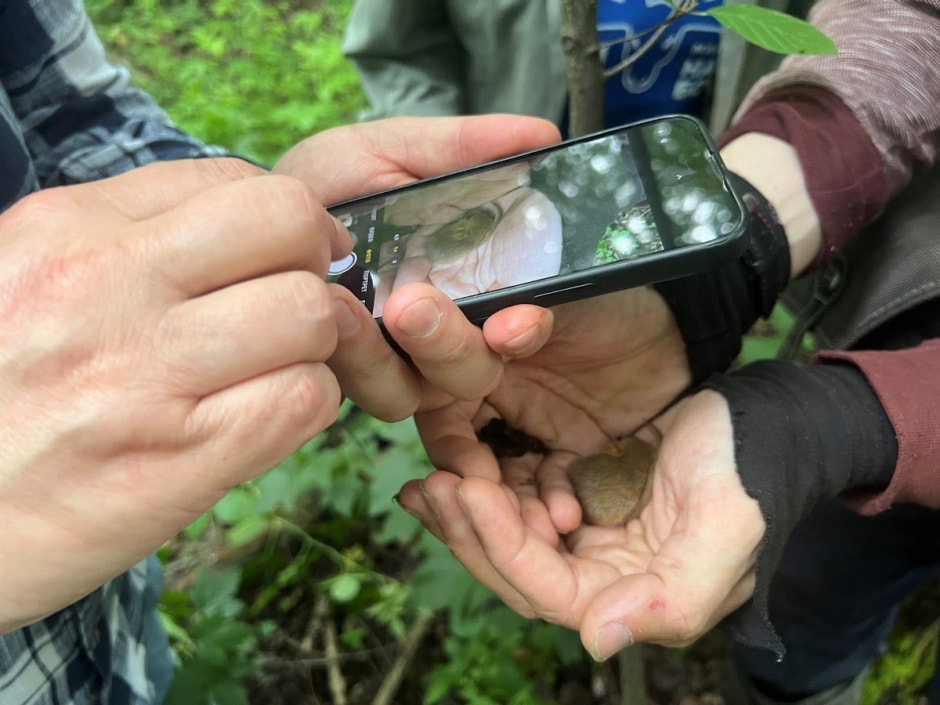 Экспедиция сони 20.jpg