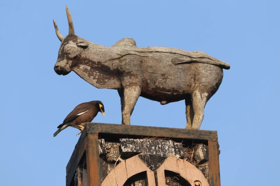 Мадагаскар 12.jpg