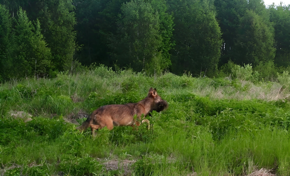 photo_2025-06-23_09-37-40 (2) (1).jpg