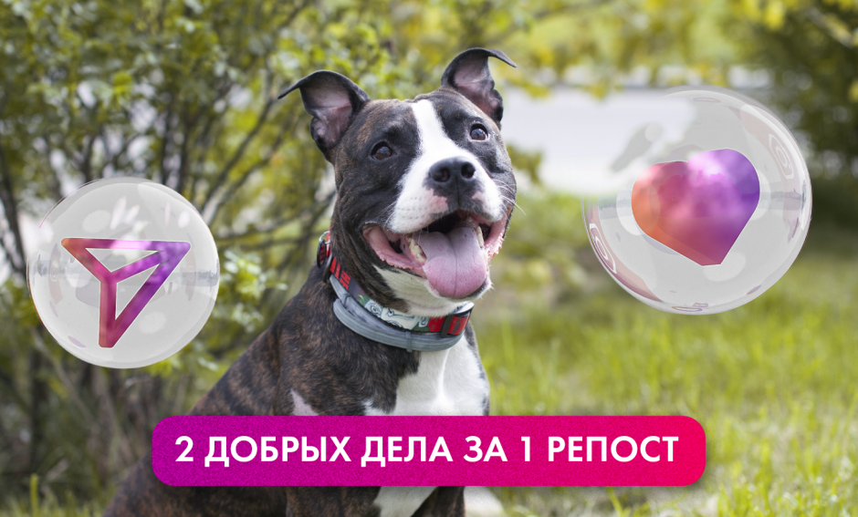 21Vek_Эгида_1.png 21Vek_Эгида_1.png