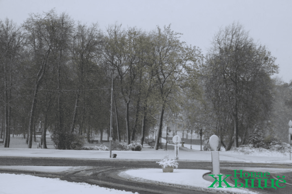 снег4.png снег4.png