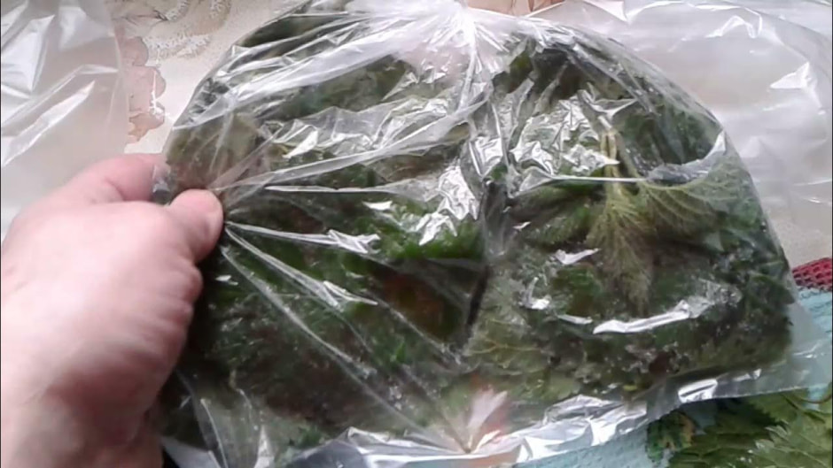 Замороженная крапива Замороженная крапива