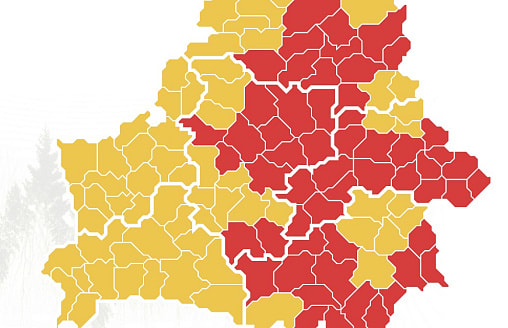 Штраф не грозит только здесь: в Беларуси почти везде ограничили посещение лесов