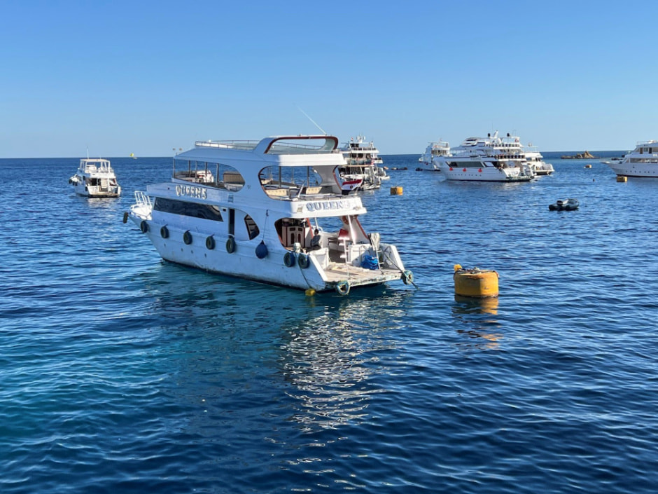 Египет 2024.jpg