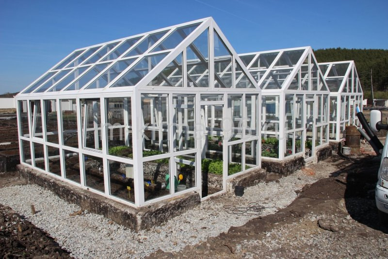 сад огород 5.jpg