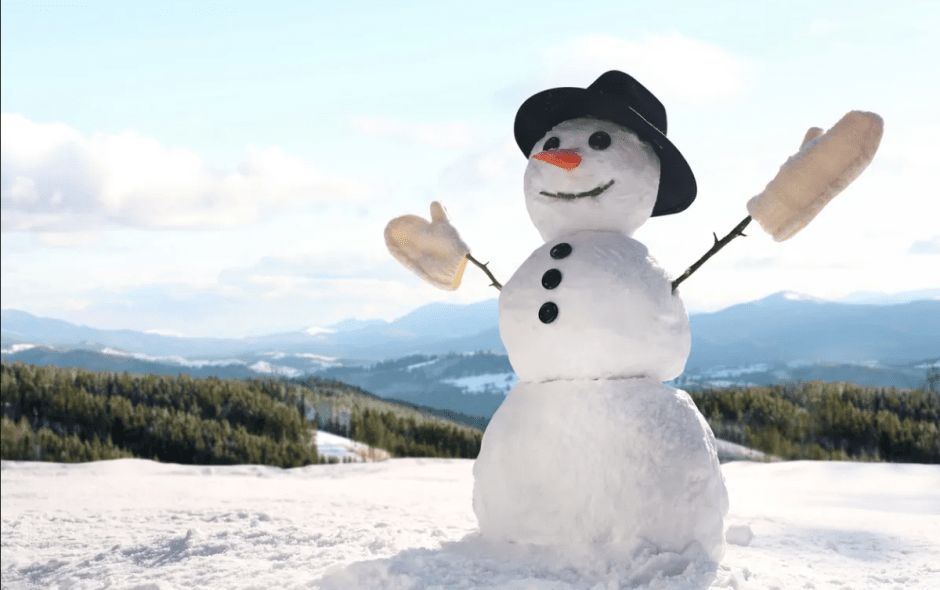 Снеговик Европейский.png