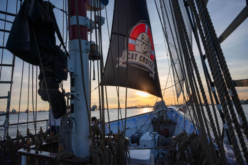 Круиз для кошек 1.jpg Круиз для кошек 1.jpg