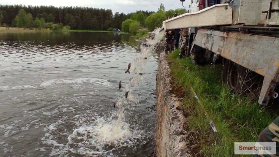 раба.jpg раба.jpg