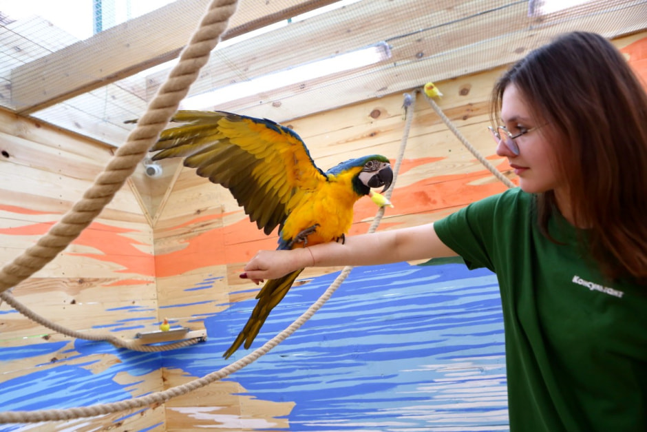 Попугайня в Витебске 4.jpg