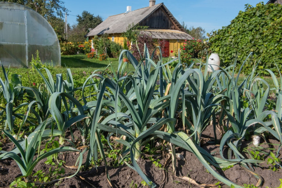 Парень ищет жену в деревне 16.jpg
