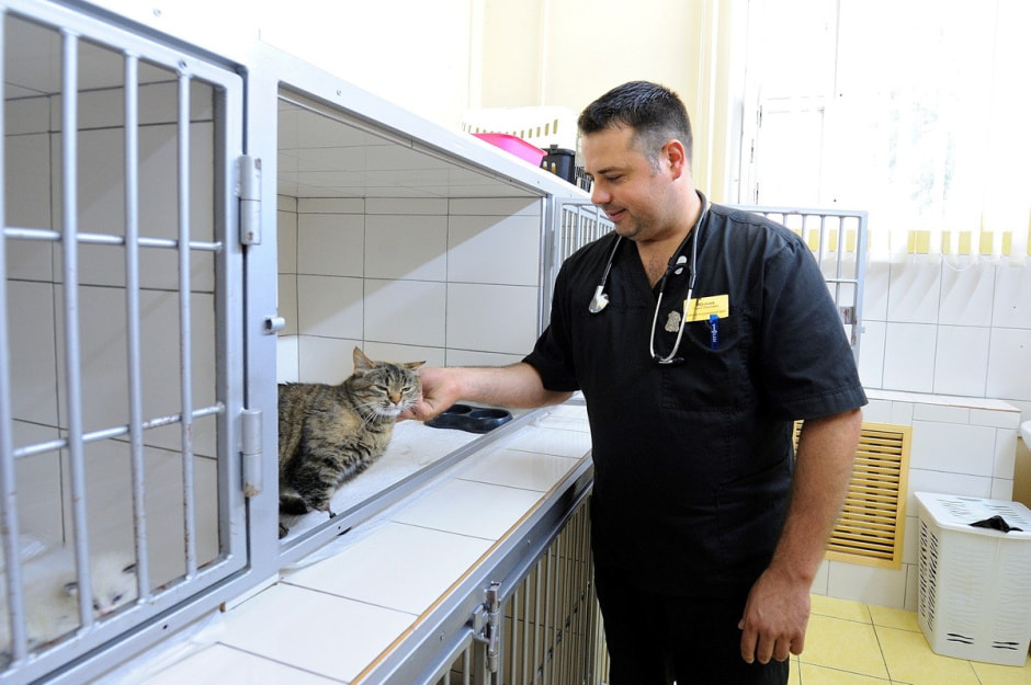 Суперветеринар из Лиды 3.jpg