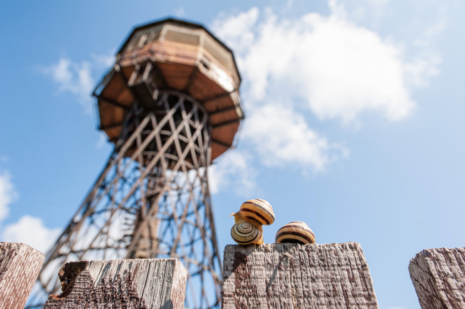 Шуховские башни_18.jpg