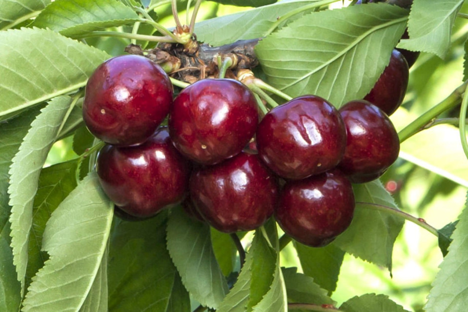 photo_2025-06-01_12-17-41 (3).jpg