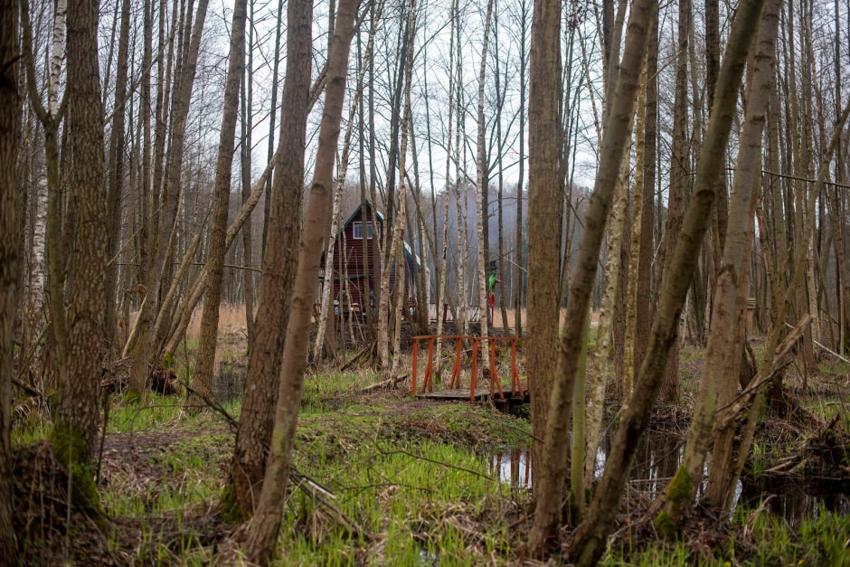 Заказник Выгонощанское 10.jpg