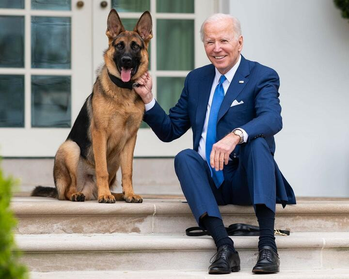 Джо Байден и овчарка.jpg