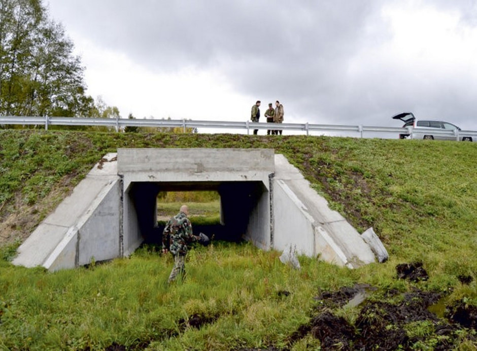 Экодуки и тоннели для животных 6.jpg