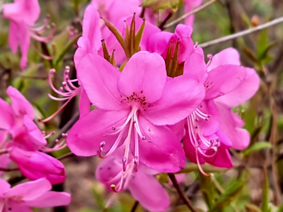 Прогулка по Ботаническому саду 3.png