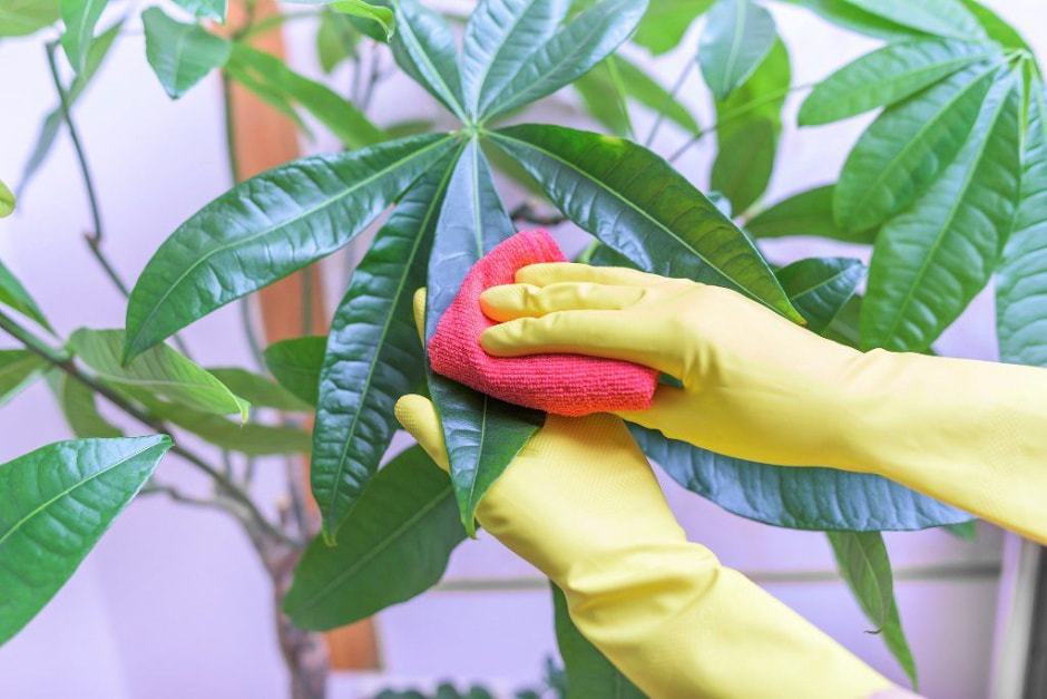 дом2.jpg дом2.jpg