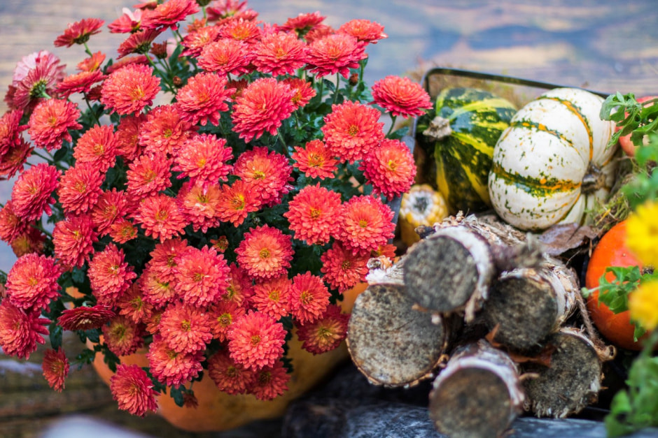 Агроусадьба Букашкин дом 8.jpg