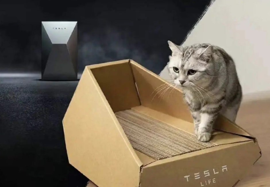 Тесла для котика.jpg Тесла для котика.jpg