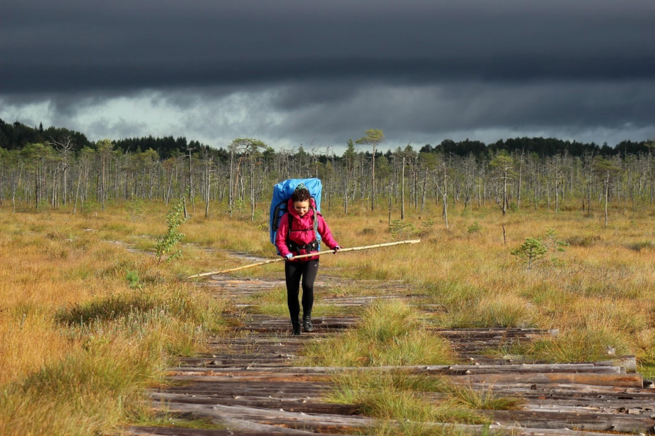24-По бревенчатому настилу к озеру Курганистое.jpg