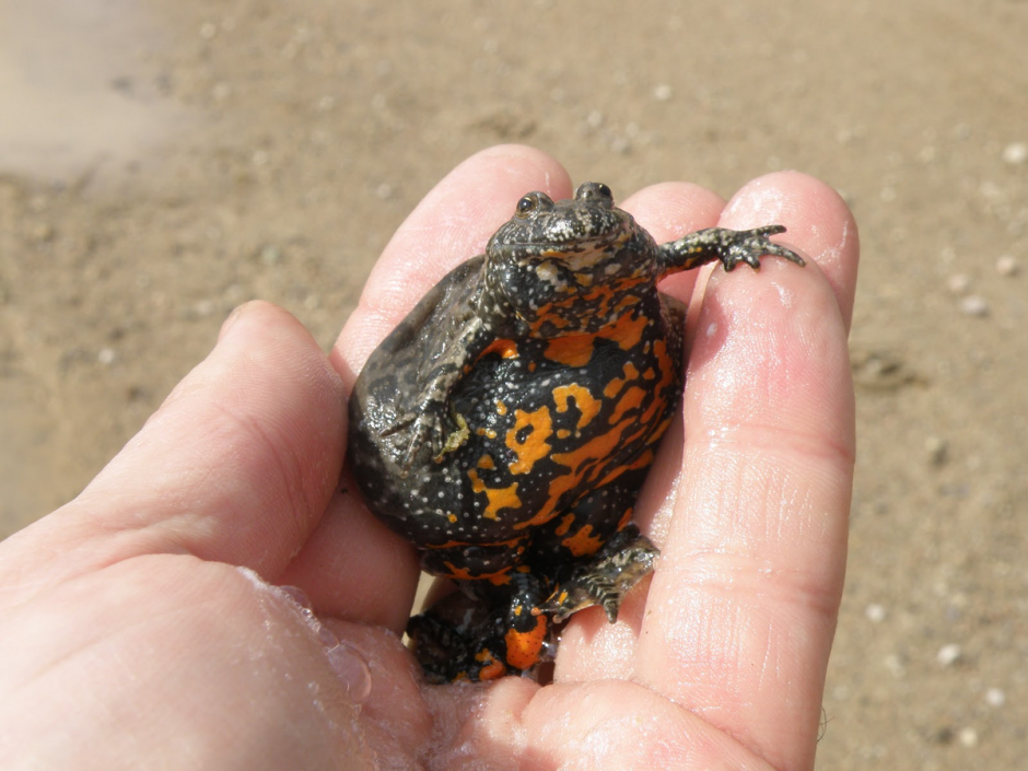 Прогулка с орнитологом 8.png