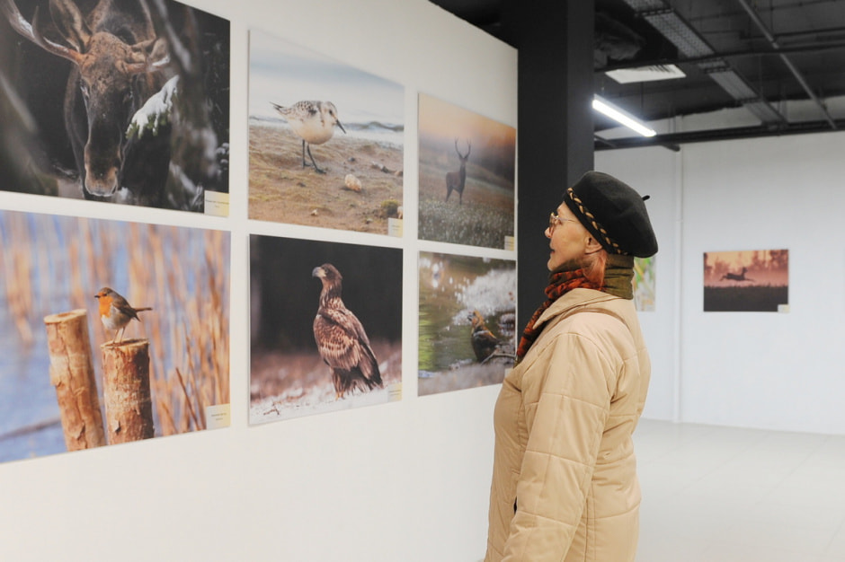 выставка Дикая природа Беларуси 12.JPG