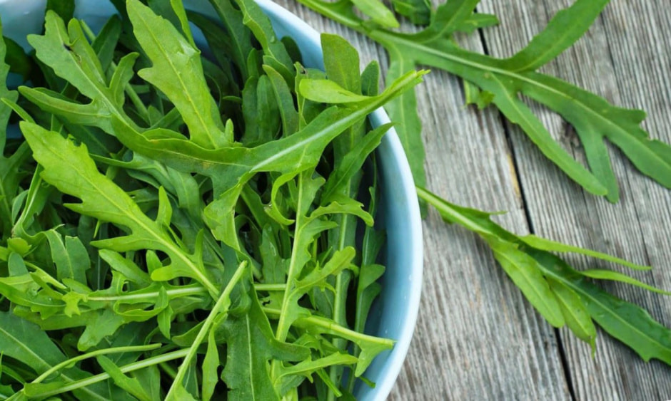 photo_2025-05-09_21-08-04 (3).jpg