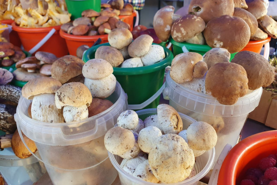 Грибы на Комаровке 3.png