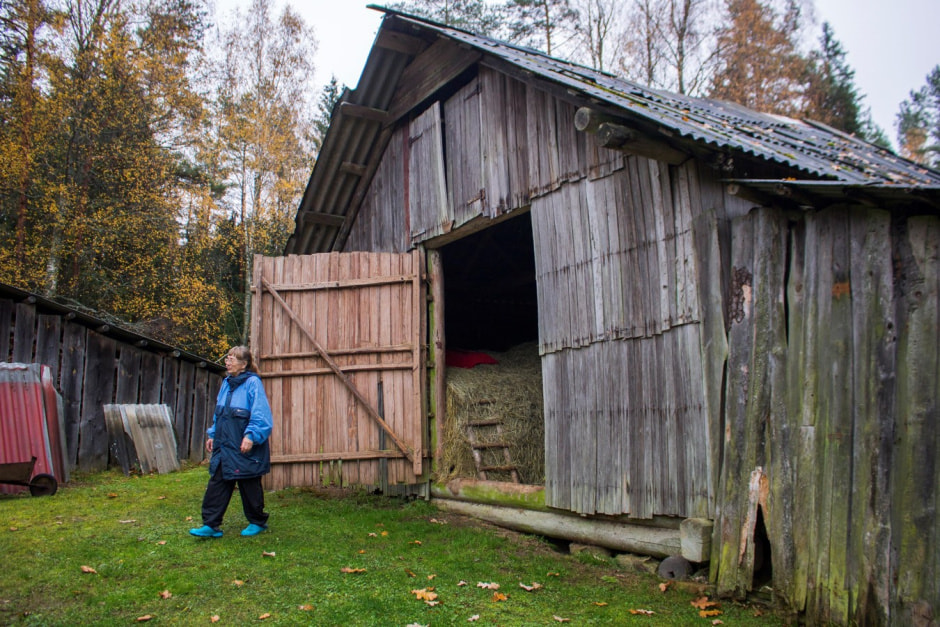 Одни на целый хутор Красный бор 13.jpg