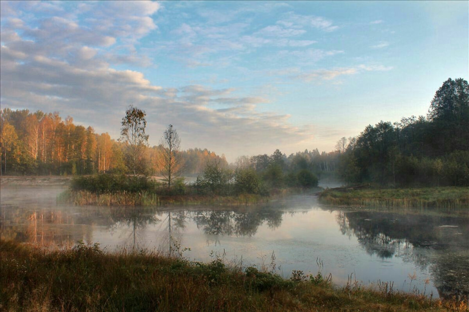 Забор в Беловежской пуще 2.jpg