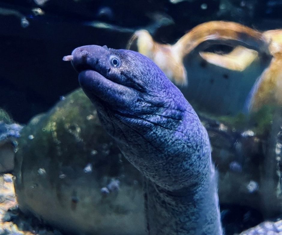 Берлинский зоопарк 23.jpg