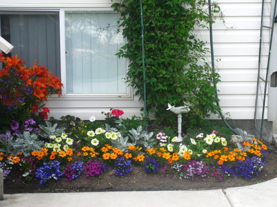 цветник цветник1.jpg