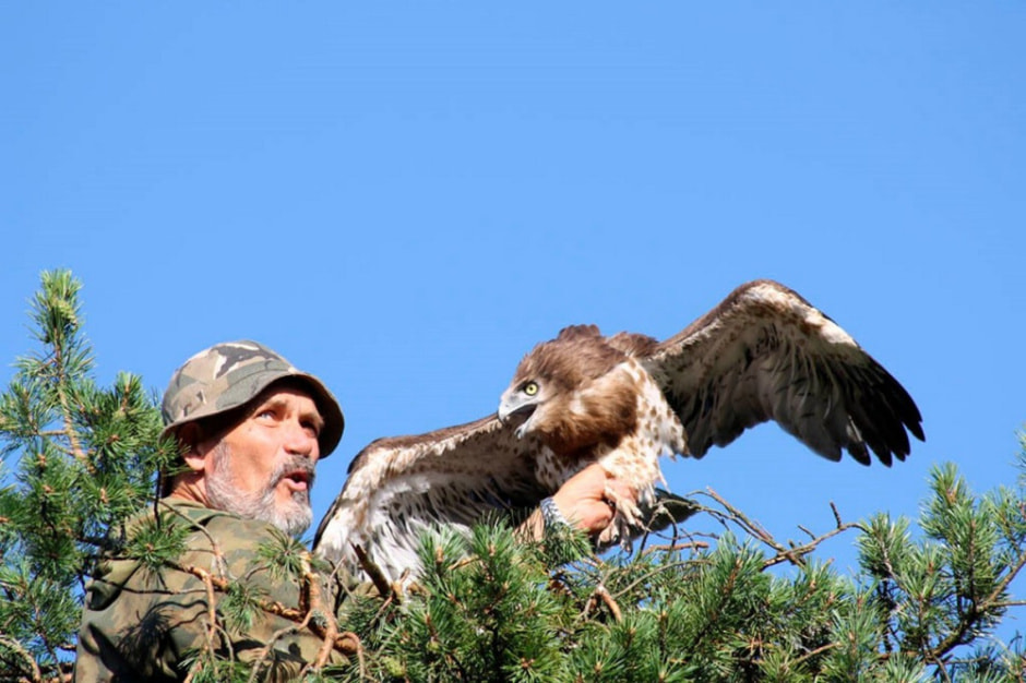 Змееяд 1_Владимир Ивановский.jpg