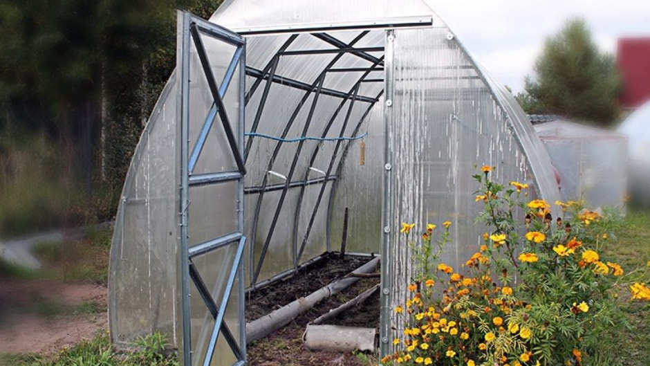 Теплица на участке