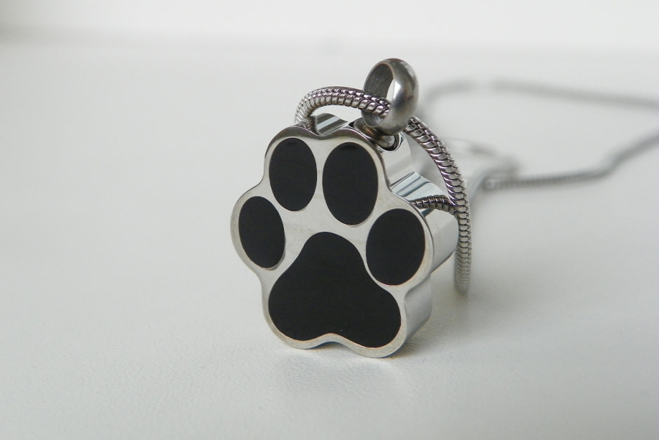 Как похоронить питомца_5.jpg