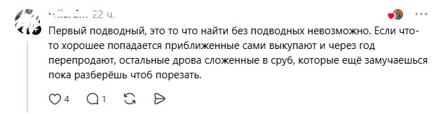сруб.jpg