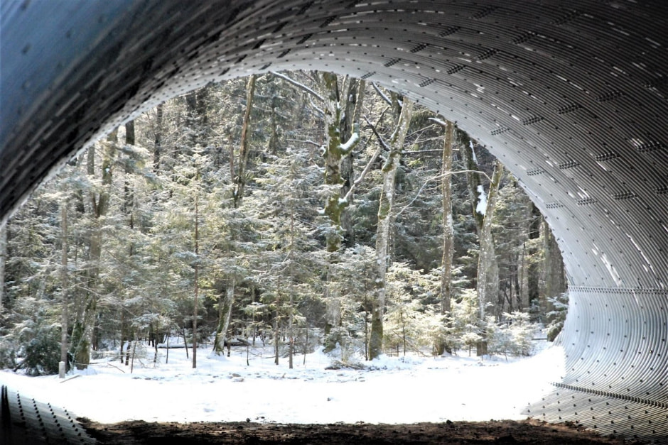 Экодуки и тоннели для животных 5.jpg