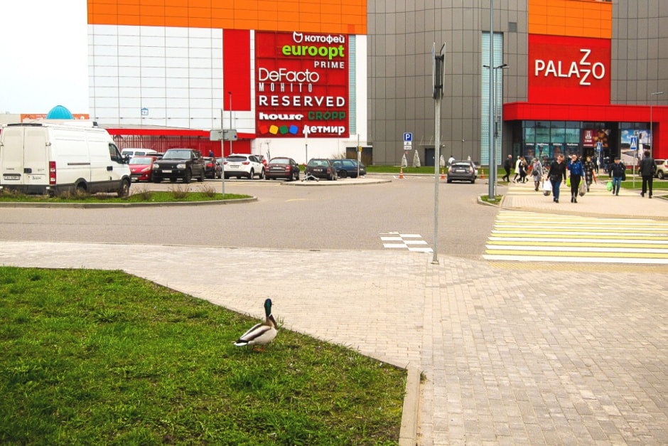 Фотовыставка 13.jpg