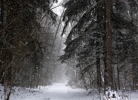 Беларусь снова завалит снегом. Но не везде