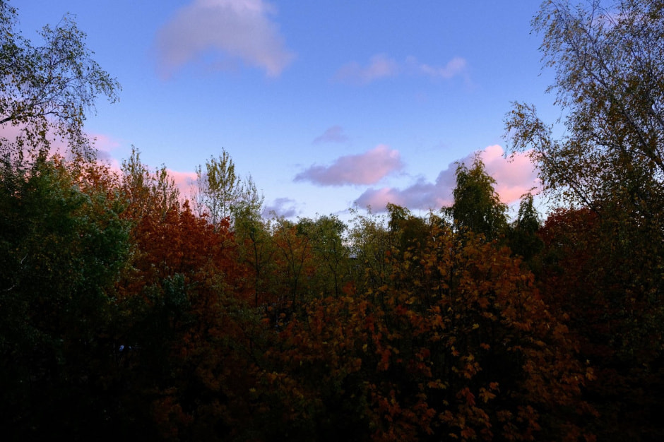 багрянец, фото niki_fujifilm багрянец, фото niki_fujifilm