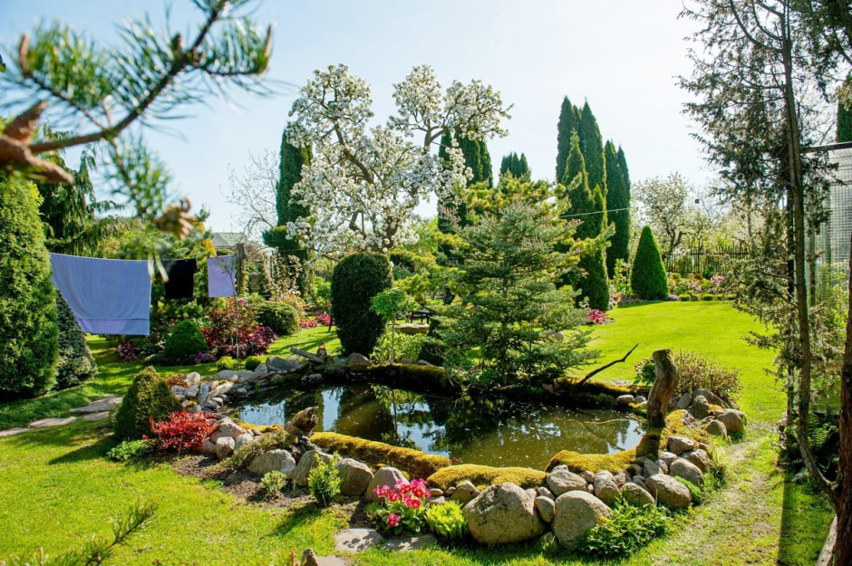 Семья Шокало и экзотический сад 9.jpg