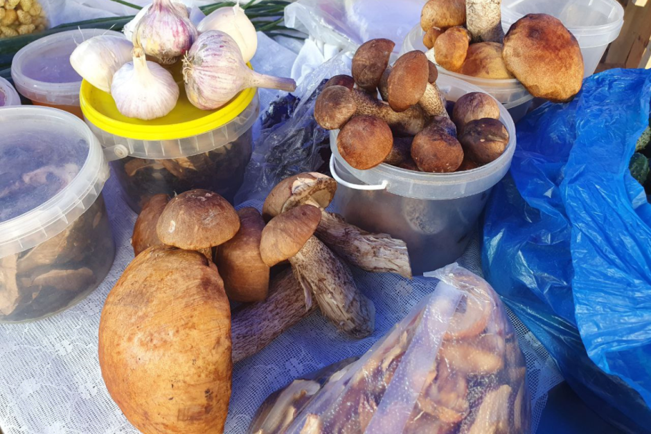 Грибы на Комаровке 6.png