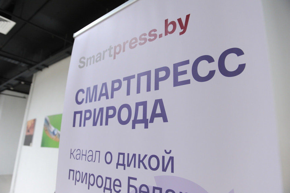 выставка Дикая природа Беларуси 7.JPG