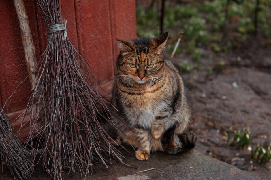 Деревня Ушковица 7.jpg