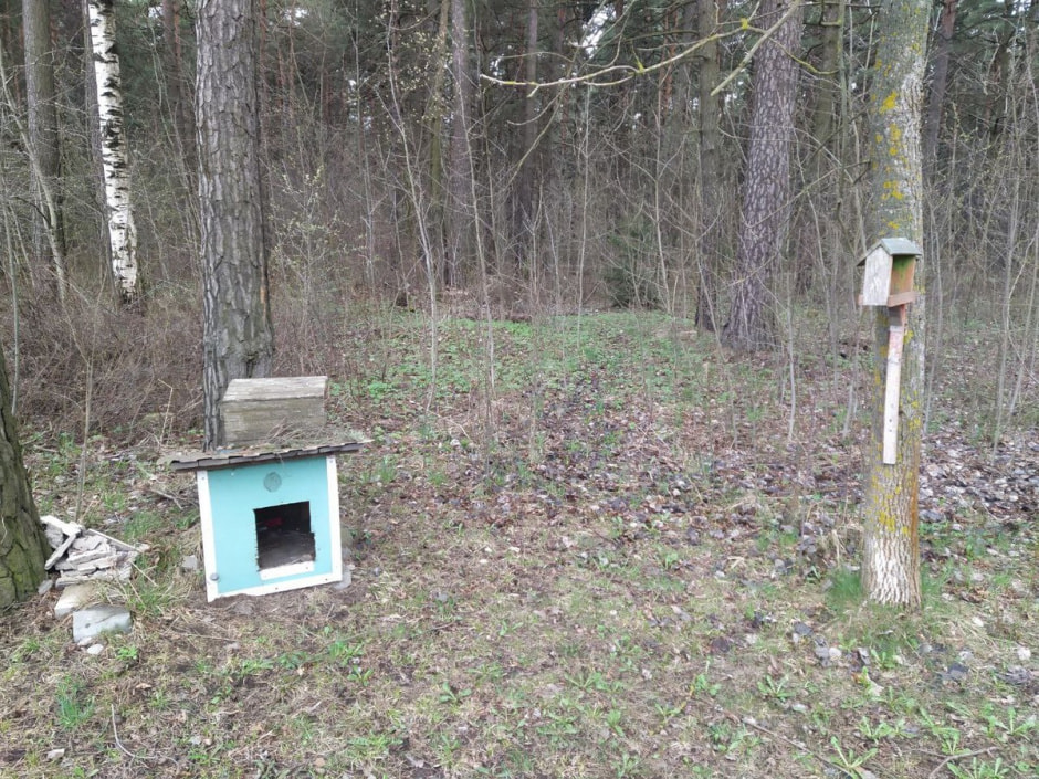 Парк 50-летия Октября 32.jpg